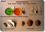 Drug: Opiates (OPI)